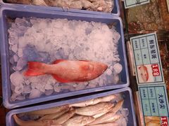 -琼菜王(南海店)