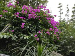 -怡和家宴(天立·观澜国际店)