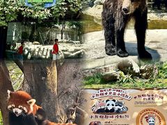 -灵玲国际马戏城