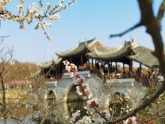 -上海海湾国家森林公园