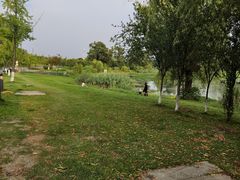 -两河城市森林公园