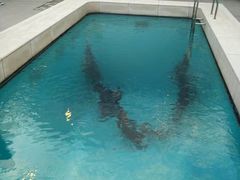 -金泽21世纪美术馆