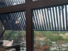 -斯琴阿妈蒙古餐厅(新城店)