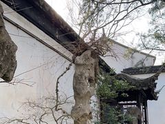 -拙政园