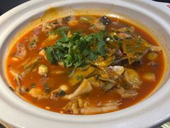 -魏铭鱼头捞饭(晋阳路店)