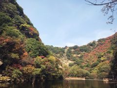 -少华山国家森林公园