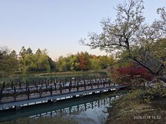 -尚贤河湿地