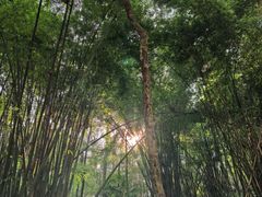 -凤栖山