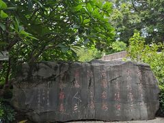 -荔湾湖公园