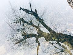 -贵阳市花溪国家城市湿地公园