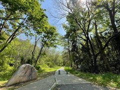 -青龙山国家森林公园