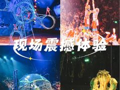 -广州长隆国际大马戏