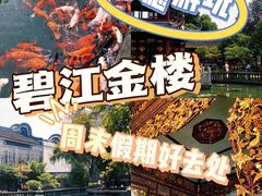 -碧江金楼