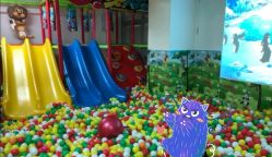 -美加乐儿童乐园(江宁文鼎广场店)