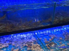 -透明思烤·自助烤肉海鲜火锅(东部星悦天地店)
