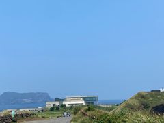 -涉地可支
