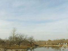 -御林古桑园