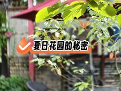 -野蔓果·山野菜(西湖景区·龙井茶田店)