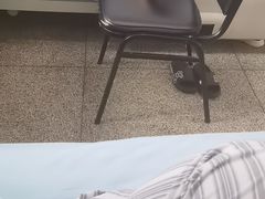 -首都医科大学宣武医院