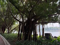 -南宁南湖公园