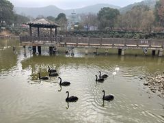 -无锡动物园·太湖欢乐园