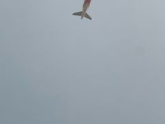 -常州奔牛国际机场