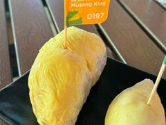 -榴莲BB 四季果园