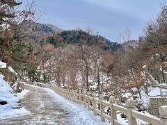 -沂蒙山旅游区云蒙景区(蒙山国家森林公园)