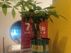 -滇铺子·云南特色菜·第九届野生菌美食节(东风东路c86店)