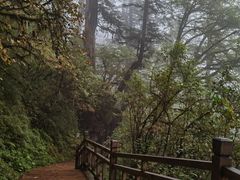 -海螺沟风景区