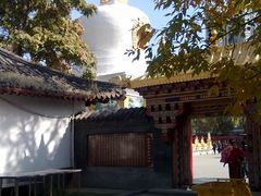-护国法轮寺