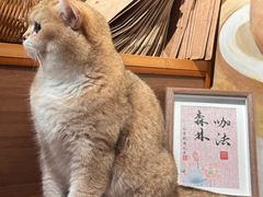 -咖法森林·咖啡  酒吧(天河店)