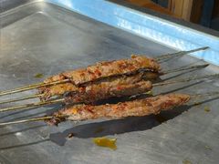 -福苗小骆驼烧烤(莲湖路店)
