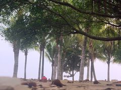 -深圳湾公园(南山区)