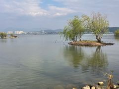 -洱海月湿地公园