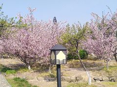 -白马涧龙池景区