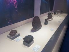 -吉林市博物馆