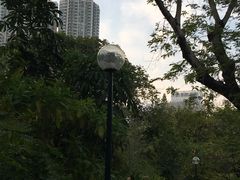 -九龙公园