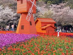 -苏州上方山国家森林公园