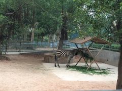 -广东茂名森林公园