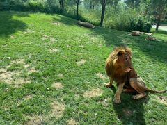 -北京野生动物园