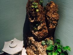 -古京·臻致料理(月湖店)