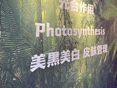 -悠乐汇