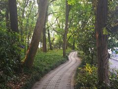 -旅马餐厅(茅家埠店)