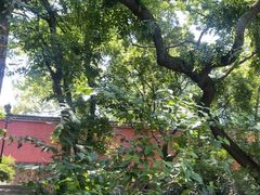 -南北湖风景区