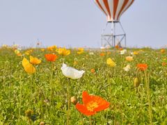 -歌斐颂巧克力小镇