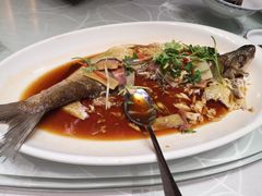 -天津津利华酒店