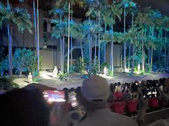 -三亚红色娘子军演艺公园景区