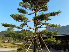 -香山湖公园