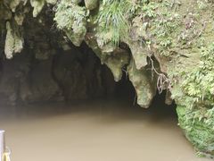 -怀托摩萤火虫洞